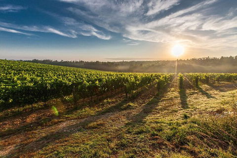 Perth To Margaret River Wine Tour - 2 Day Premium Boutique Wine Tour Experience - Queensland Tourism 0