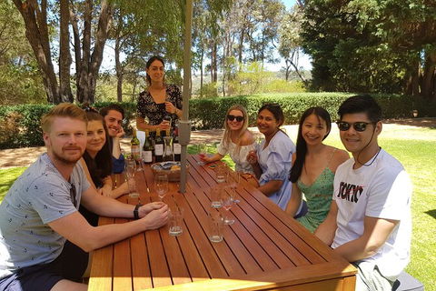 Full-Day Gourmet Wine Tour With Pick Up And Lunch - Queensland Tourism 5