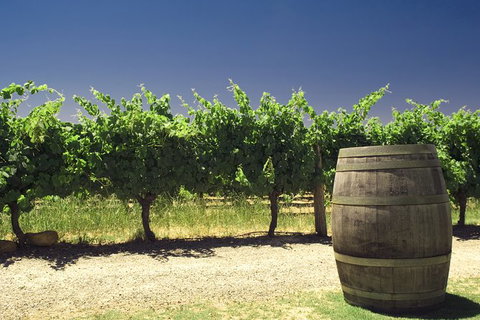 Pinnacles Desert Private Tour - QLD Tourism 4