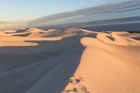 Pinnacles Desert Private Tour - QLD Tourism 2