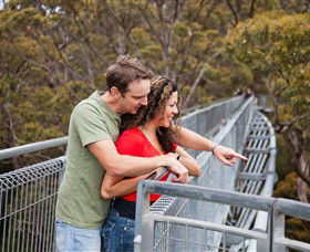 Valley Of The Giants Tree Top Walk - Queensland Tourism 0