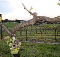 Nalbra Estate Wines - QLD Tourism