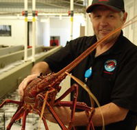 Lobster Shack - Queensland Tourism