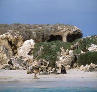 Jurien Bay Marine Park - Queensland Tourism