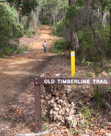 Scott River East WA Queensland Tourism