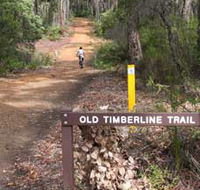 Old Timberline and Sidings Rail Trails - Queensland Tourism