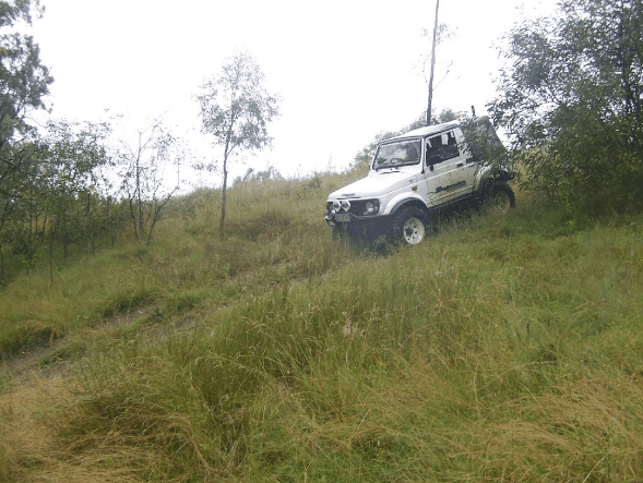 Scenic Rim Adventure Park - QLD Tourism 1