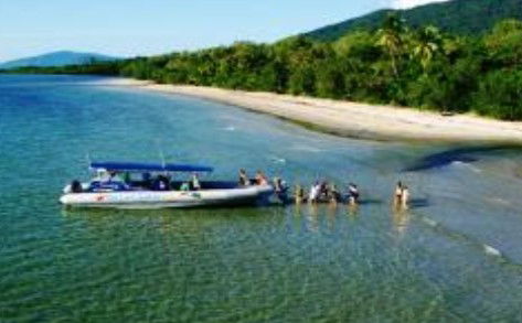 Cape Tribulation QLD QLD Tourism