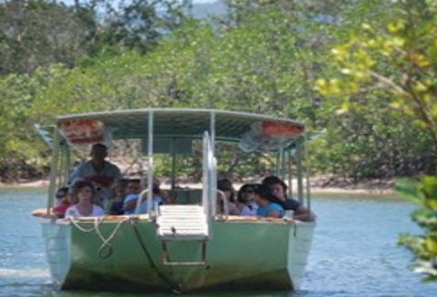 BTS Tours Pty Ltd - QLD Tourism 1