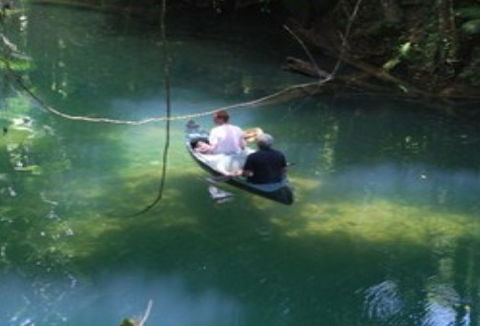 BTS Tours Pty Ltd - QLD Tourism 2
