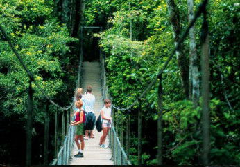 BTS Tours Pty Ltd - QLD Tourism 4