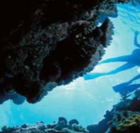 Deep Sea Divers Den - Queensland Tourism