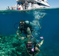 Down Under Cruise and Dive - Queensland Tourism