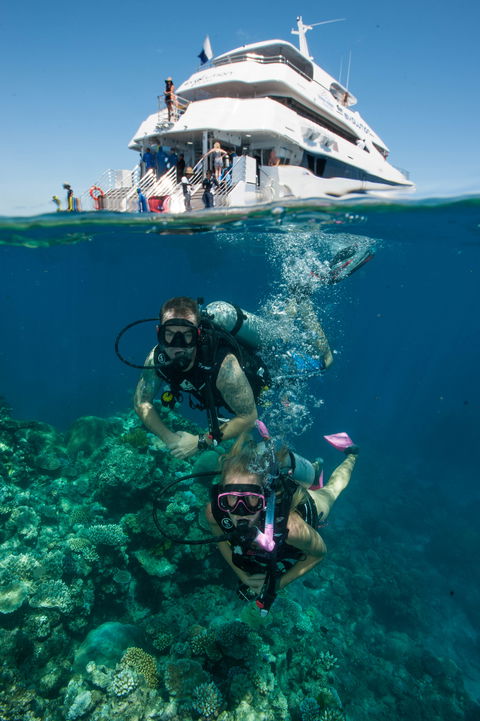 Down Under Cruise And Dive - Queensland Tourism 0