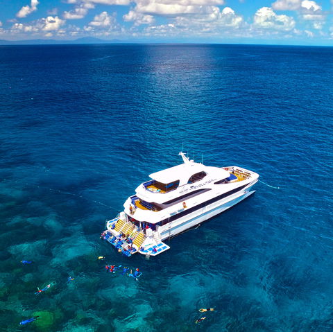 Down Under Cruise And Dive - Queensland Tourism 1