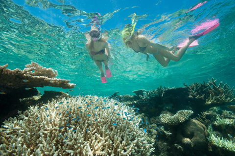 Down Under Cruise And Dive - Queensland Tourism 4