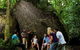 Down Under Tours Australia - thumb 2