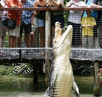 Hartley's Crocodile Adventures - QLD Tourism