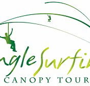Jungle Surfing Canopy Tours and Jungle Adventures Nightwalks - QLD Tourism