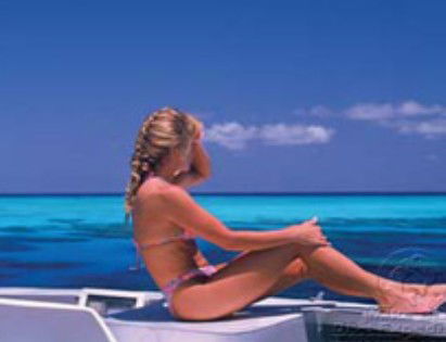 Mike Ball Dive Expeditions - Queensland Tourism 0