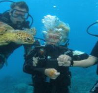 Yardarm Pty Ltd t/a Passions of Paradise - Queensland Tourism