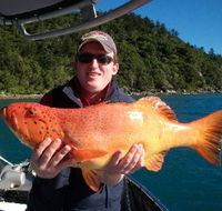 Gone Fishing by Coral Sea Fishing Charters Airlie Beach - Queensland Tourism