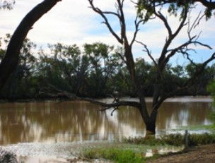 Allan Tannock Weir - QLD Tourism 2