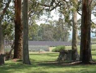 Stanthorpe QLD QLD Tourism