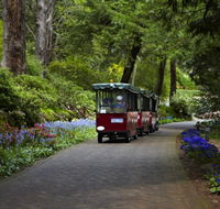 Araluen Botanic Park - Queensland Tourism