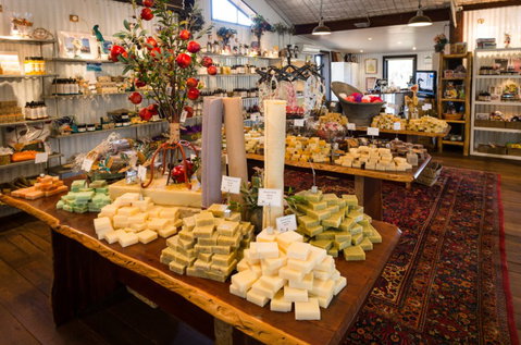 Vasse Virgin - QLD Tourism 3