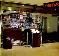 Cervo - Queensland Tourism
