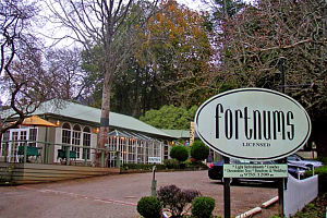 Fortnums Restaurant - Queensland Tourism 0