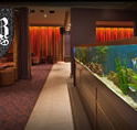 AB Hotel - QLD Tourism