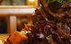 Holland Park Hotel - thumb 0