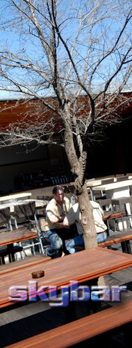 Alma Tavern - Queensland Tourism 2