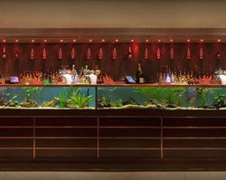AB Hotel - QLD Tourism 2