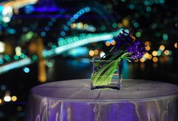 Summit - Orbit Lounge Bar - Queensland Tourism 3