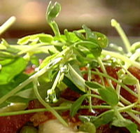 Wild Hearts Cafe Restaurant - Queensland Tourism