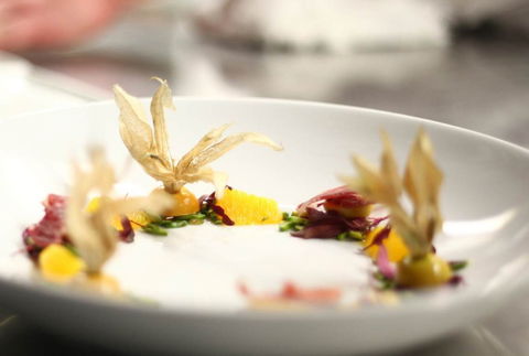 Jellyfish Restaurant - Queensland Tourism 0