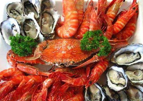 The Lazy Lobster - Queensland Tourism 1