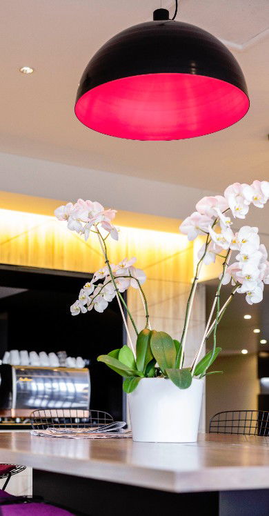 MRepublic Restaurant, Bar And Lounge - Queensland Tourism 4