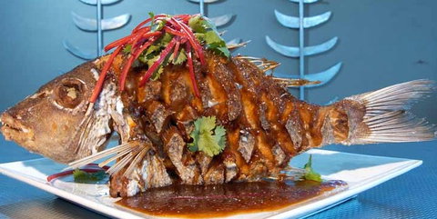 Fish On Parkyn - QLD Tourism 5