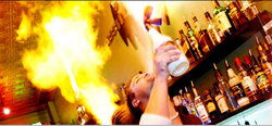Universal Bar - QLD Tourism 0