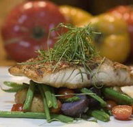 Queens Arms Hotel - QLD Tourism