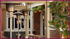 Captain Cook Hotel Botany - QLD Tourism 1