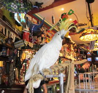 A Friend In Hand - QLD Tourism