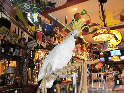A Friend In Hand - QLD Tourism 0