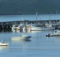 The Apollo Bay Hotel - QLD Tourism