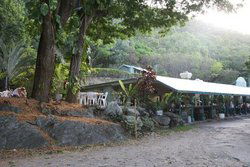 Ellis Beach QLD Queensland Tourism