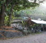 Ellis Beach Bar  Grill - Queensland Tourism